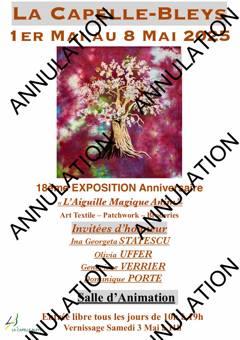 Lire la suite à propos de l’article Exposition Aiguille Magique